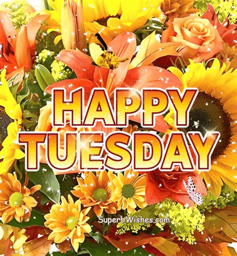 happy tuesday gif|fun happy tuesday gifs.